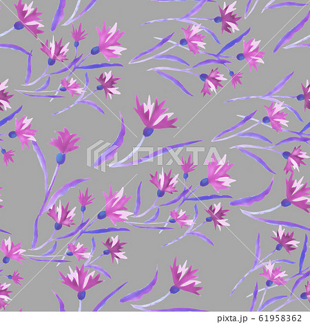 Beautiful watercolor illustration with watercolour blue cornflower on white background. seamless Beautiful watercolor illustration with watercolour blue cornflower on white background. seamless 61958362