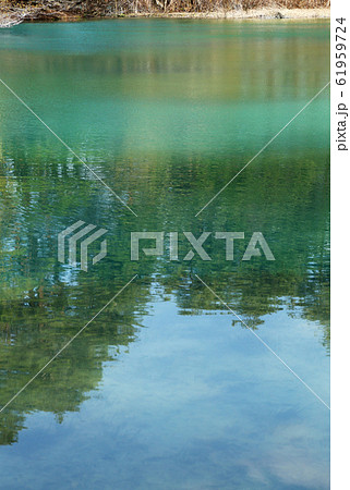 裏磐梯 五色沼 青沼 裏磐梯 五色沼 青沼 61959724