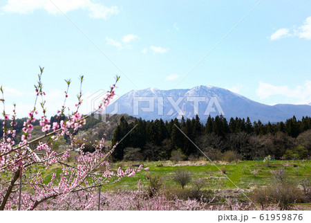 信州 丹霞郷と飯綱山 信州 丹霞郷と飯綱山 61959876