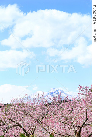 信州　丹霞郷と妙義山 61960042