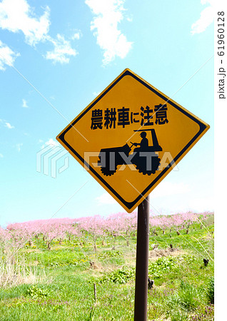 桃畑と道路標識 桃畑と道路標識 61960128