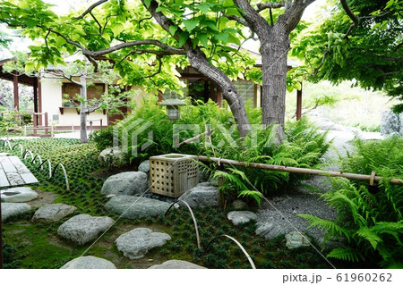 日本庭園 inサンディエゴ 日本庭園 inサンディエゴ 61960262