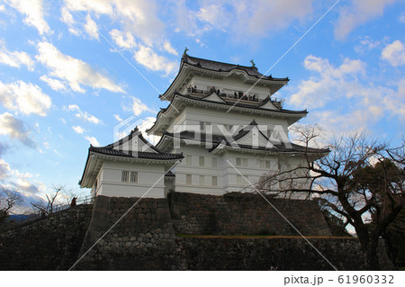 《神奈川県》 小田原市 小田原城 《神奈川県》 小田原市 小田原城 61960332