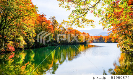 鎌池の紅葉 61960374