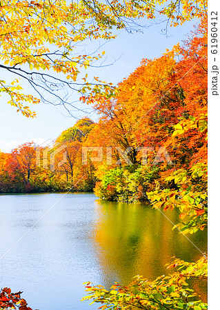 鎌池の紅葉 61960412