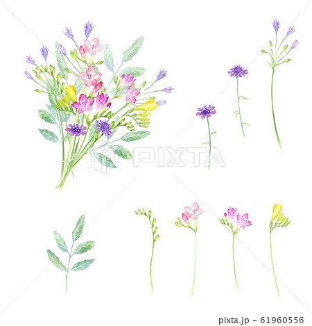 花束セット　カラフル　水彩イラスト 61960556