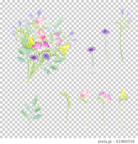 花束セット　カラフル　水彩イラスト 61960556