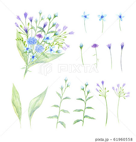 花束セット　ブルー系　水彩イラスト　 61960558