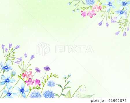 水彩で描いた植物のフレーム 水彩背景新緑 水彩で描いた植物のフレーム 水彩背景新緑 61962075
