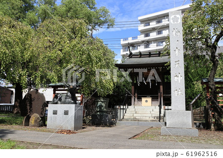 埼玉県川口市の梅の木天神社 61962516