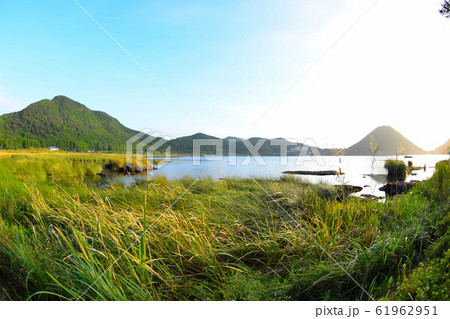 秋の藺牟田池 秋の藺牟田池 61962951