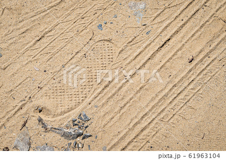 何も植えていない畑の写真 / 農業のイメージ 何も植えていない畑の写真 / 農業のイメージ 61963104