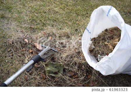 枯れ葉を掃除するイメージ 枯れ葉を掃除するイメージ 61963323