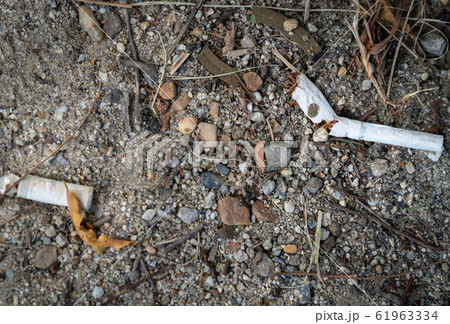 ポイ捨てされたタバコの写真/環境・社会問題のイメージ/喫煙者のマナー 61963334