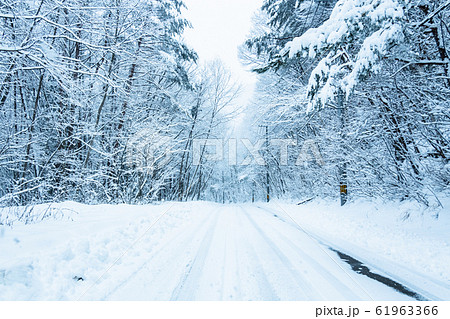 雪道 雪道 61963366