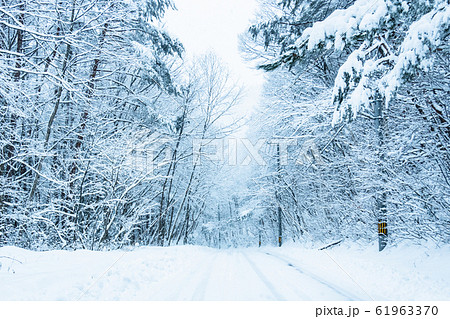 雪道 61963370