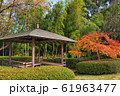 紅葉と休息所 61963477