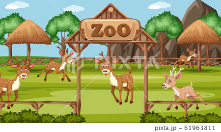 Scene with wild animals in the zoo at day time 61963811