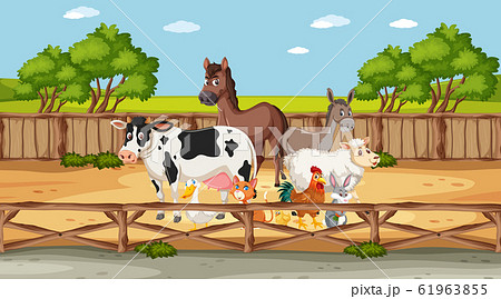 Scene with wild animals in the zoo at day time 61963855