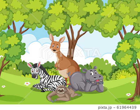 Scene with many wild animals in the forest 61964439