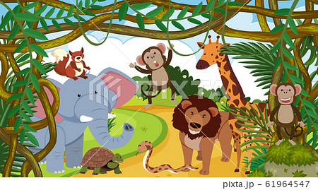 Background scene with many animals in forest Background scene with many animals in forest 61964547