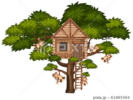 Big tree with treehouse and many monkeys on the 61965404