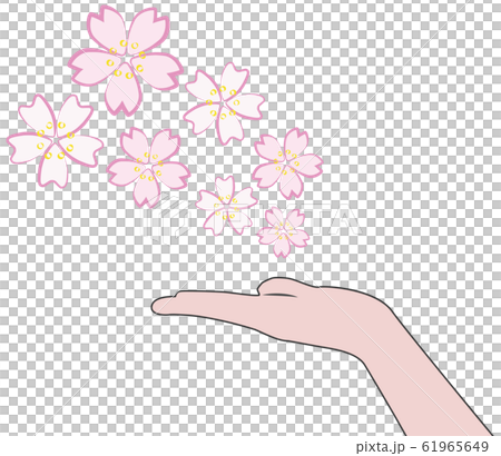 Sakura and hands Sakura and hands 61965649