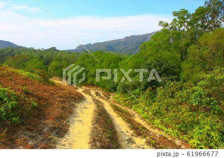 25 dec 2008 Famous MacLehose Trail Section 4 in 25 dec 2008 Famous MacLehose Trail Section 4 in 61966677