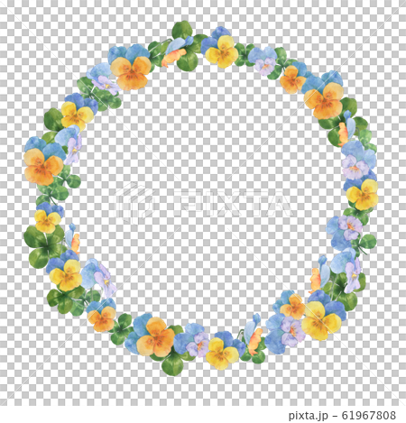 Pansy and clover frame 61967808