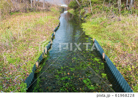 湧水川：秋　　　安曇野市 61968228