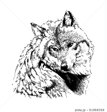 狼のイラスト素材