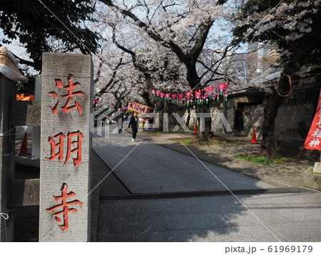 池袋(雑司が谷)、法明寺のお花見風景 池袋(雑司が谷)、法明寺のお花見風景 61969179