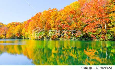 鎌池の紅葉 鎌池の紅葉 61969428