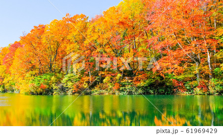 鎌池の紅葉 鎌池の紅葉 61969429
