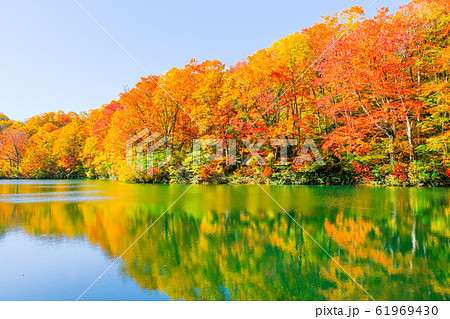 鎌池の紅葉 鎌池の紅葉 61969430