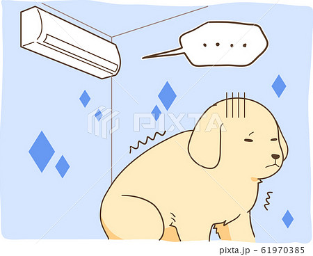 ゴールデンレトリバーの子犬(暖房の利いていない部屋) ゴールデンレトリバーの子犬(暖房の利いていない部屋) 61970385