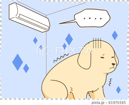 ゴールデンレトリバーの子犬(暖房の利いていない部屋) ゴールデンレトリバーの子犬(暖房の利いていない部屋) 61970385