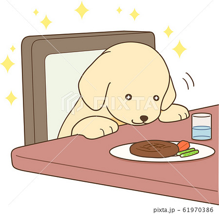 ゴールデンレトリバーの子犬 人間の食べ物を食べようとする のイラスト素材