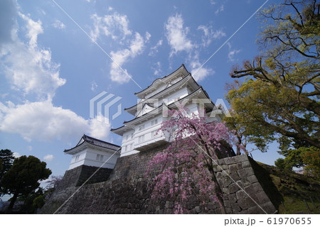 春の小田原城 61970655