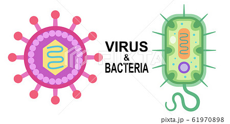 ウイルスと細菌のイラスト素材