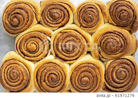 Freshly backed Cinnamon Rolls Sweet or Cinnabons Freshly backed Cinnamon Rolls Sweet or Cinnabons 61971276