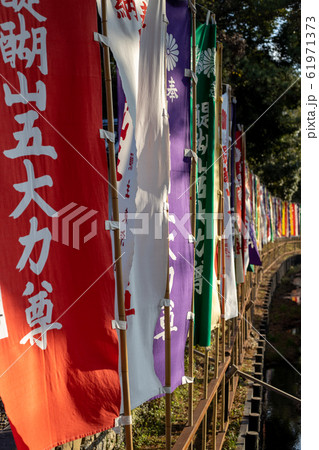 2月五大力前の醍醐寺付近の風景 2月五大力前の醍醐寺付近の風景 61971373