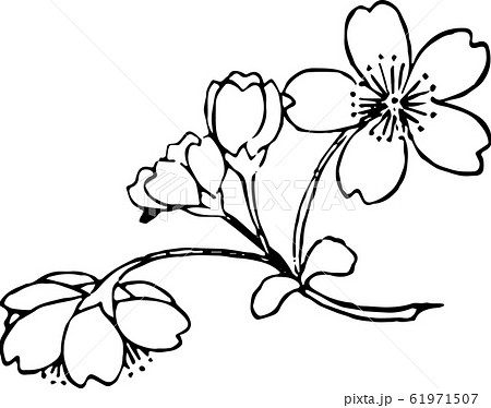 wharf clipart of flowers