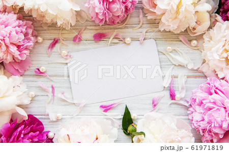 Background with peonies 61971819
