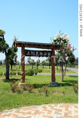 上総更科公園(市原市) 上総更科公園(市原市) 61972492