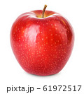 Fresh red apple isolated on white background. 61972517