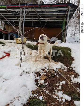 雪景色 説話 農家 61973105