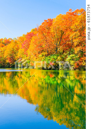 鎌池の紅葉 鎌池の紅葉 61973754