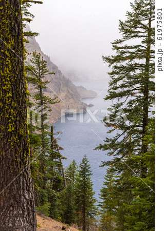 Mist through the trees on a stormy day by Crater Lake Mist through the trees on a stormy day by Crater Lake 61975801