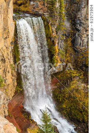 View of the 97-foot Tumalo Falls in Tumalo Creek near Bend 61975904